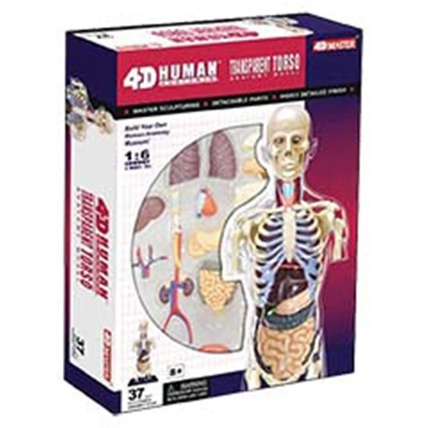 Tedco Toys Tedco Toys 26068 4D Human Anatomy Transparent Torso Model 26068
